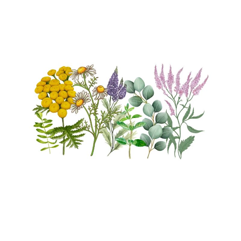 Wildblumen