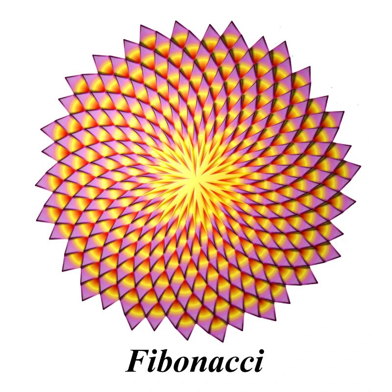Fibonacci flower