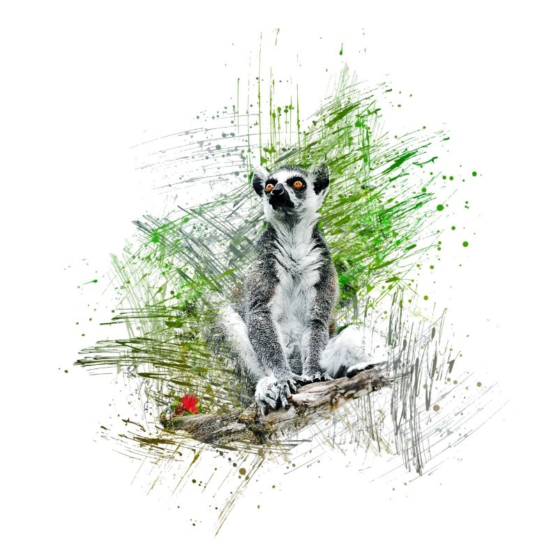 Lemur