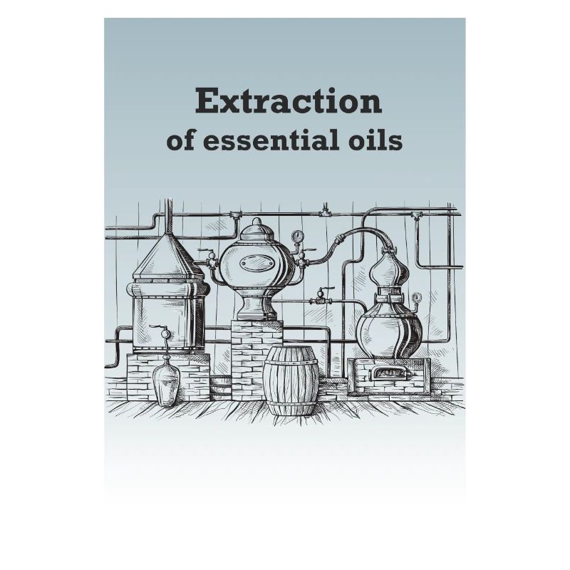 Extraktion von ätherischen Ölen