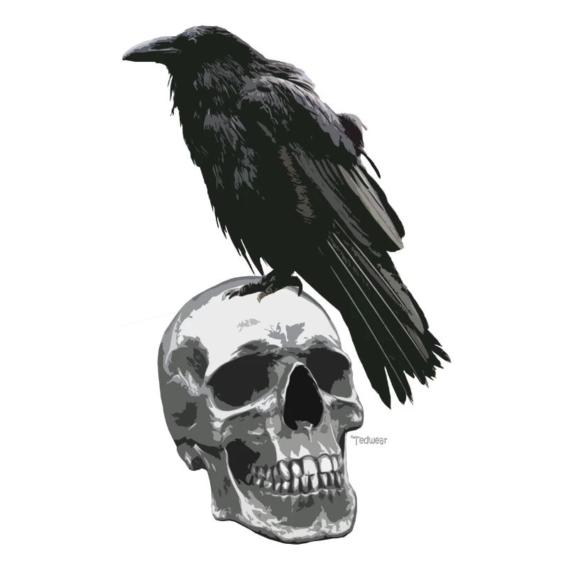Crâne de corbeau