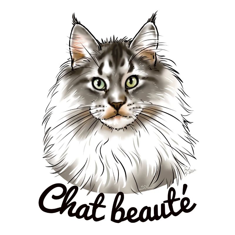 Chat beauté main coon (texte noir)