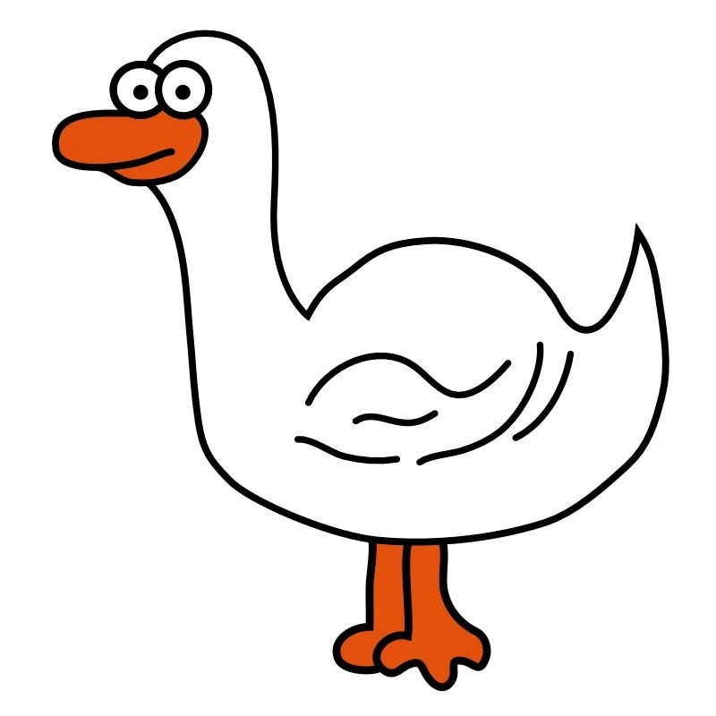 Canards