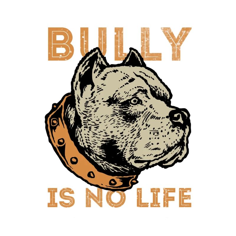 american bully, american bully pitbull mom, Stier,