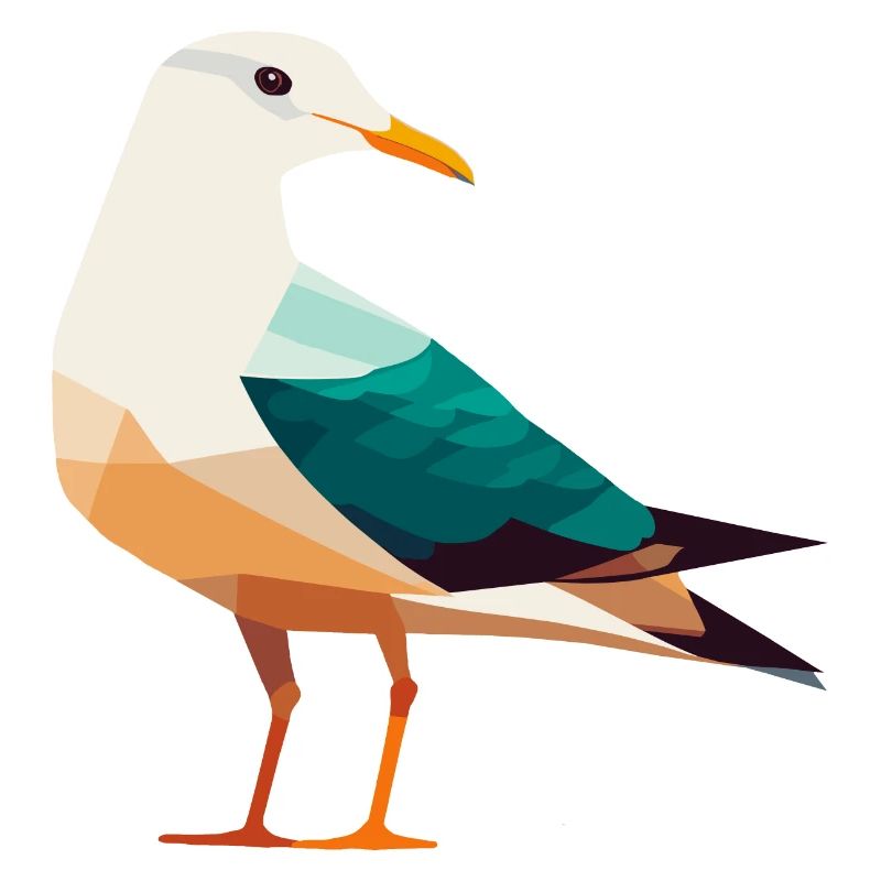 Nordsee Küste Möwe Polygon