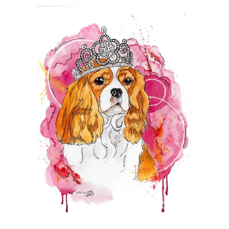 Cavalier KC Spaniel Bella