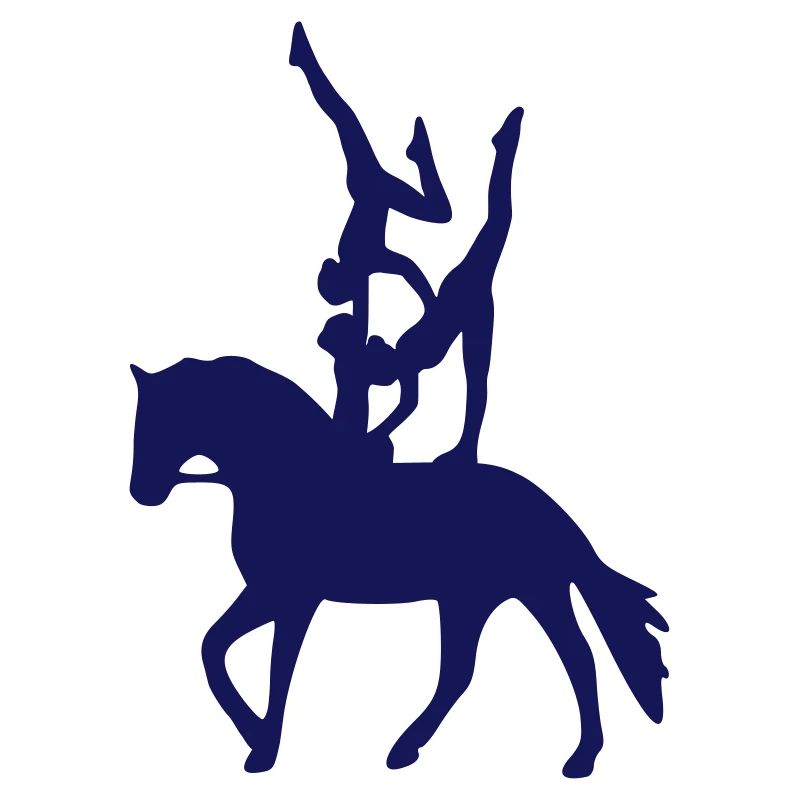 Vaulting three exercise freestyle