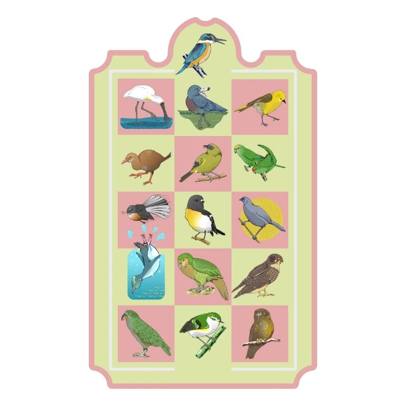 NZ BIRDS