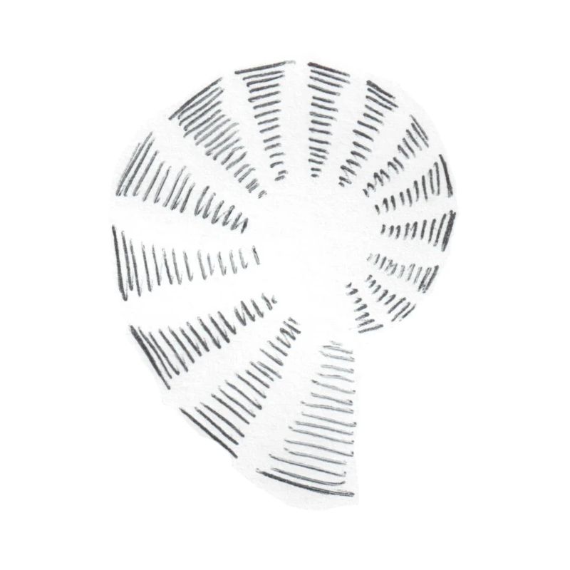 Spirale