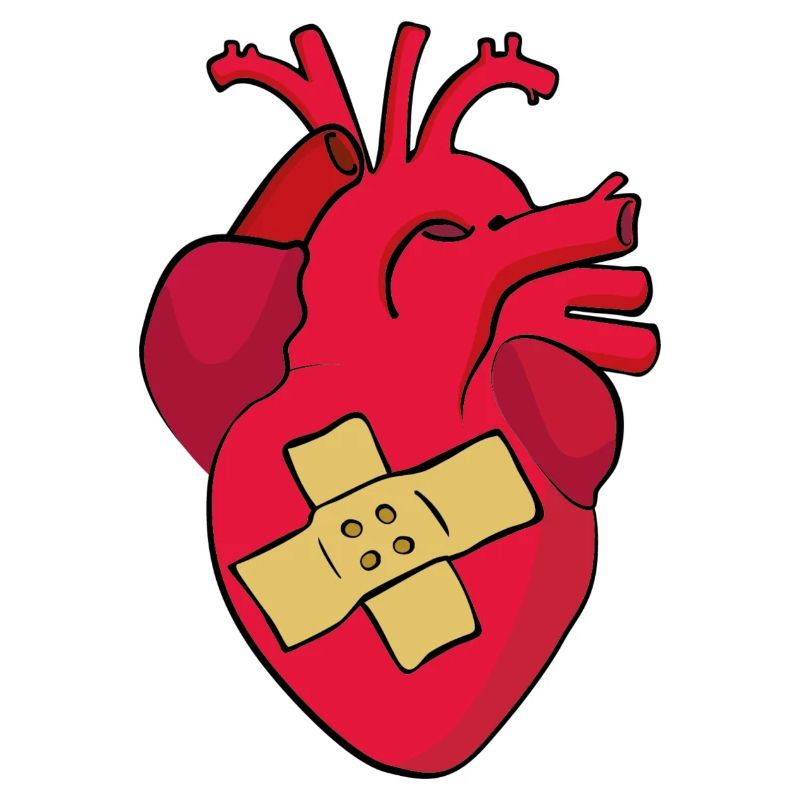 heart patch