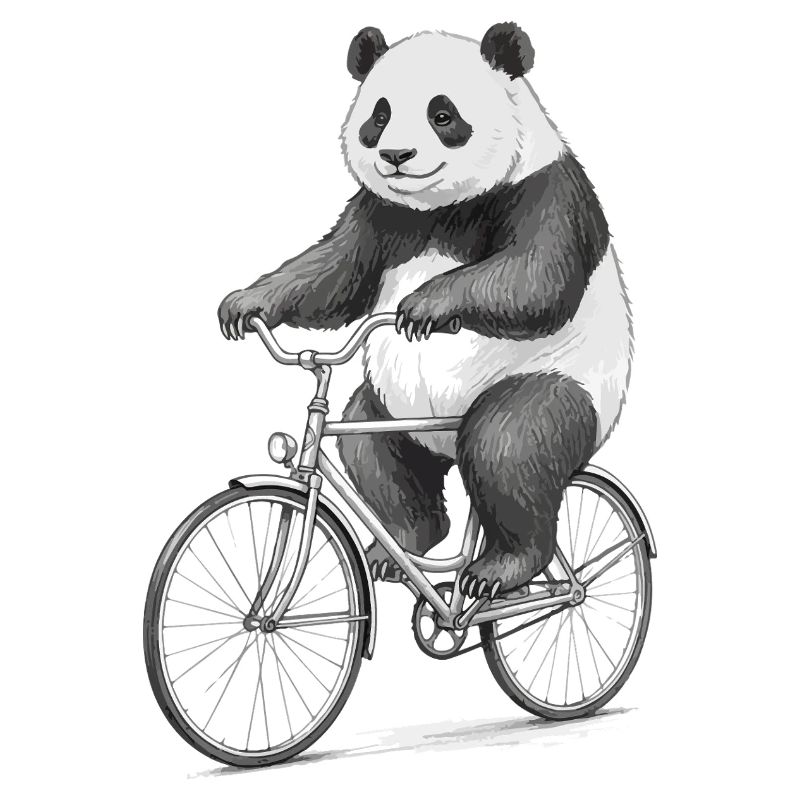 Panda on Bicycle