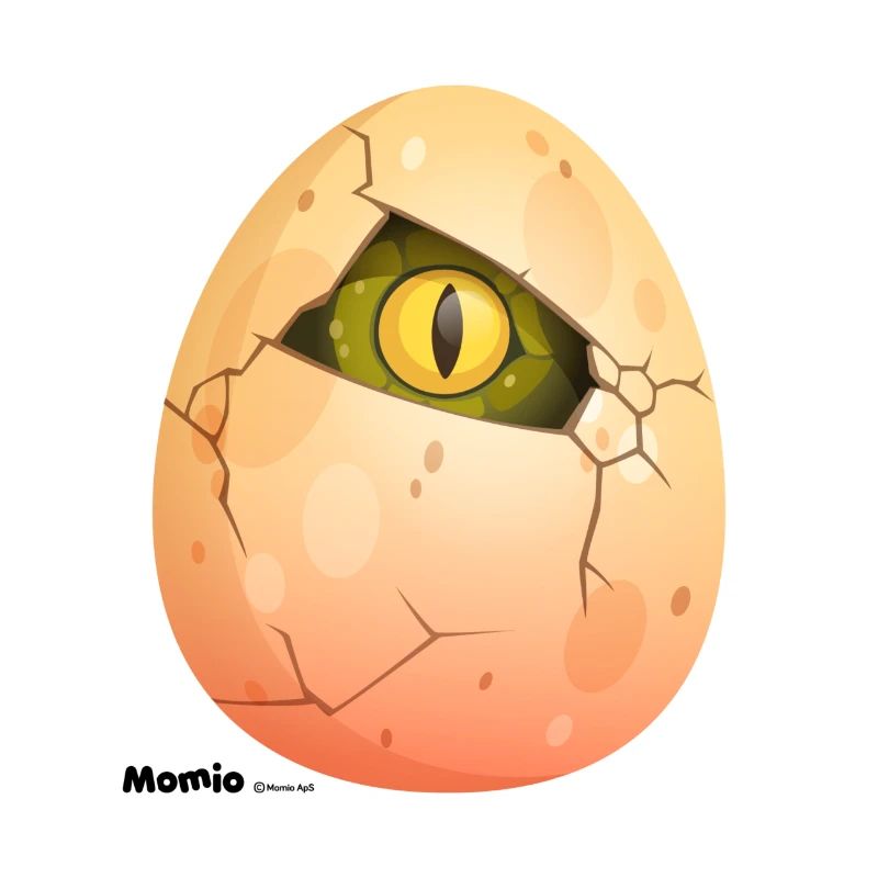 Egg
