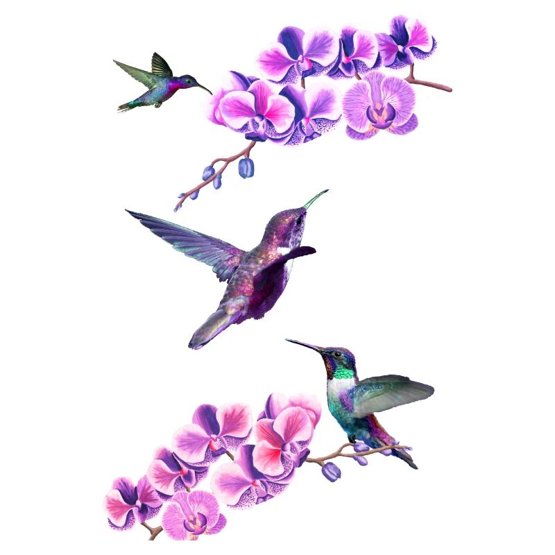 Hummingbirds flying between orchids