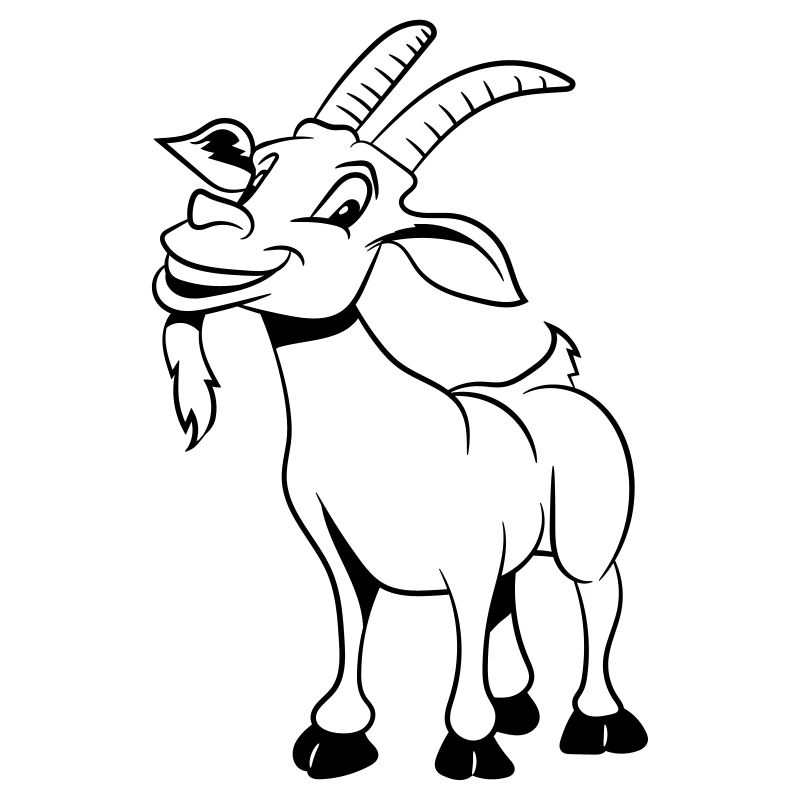 Goat laugh nicely