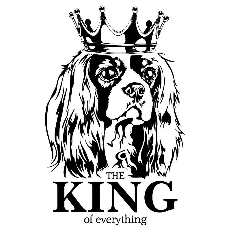 Cavalier King Charles Spaniel King chiens Wilsigns