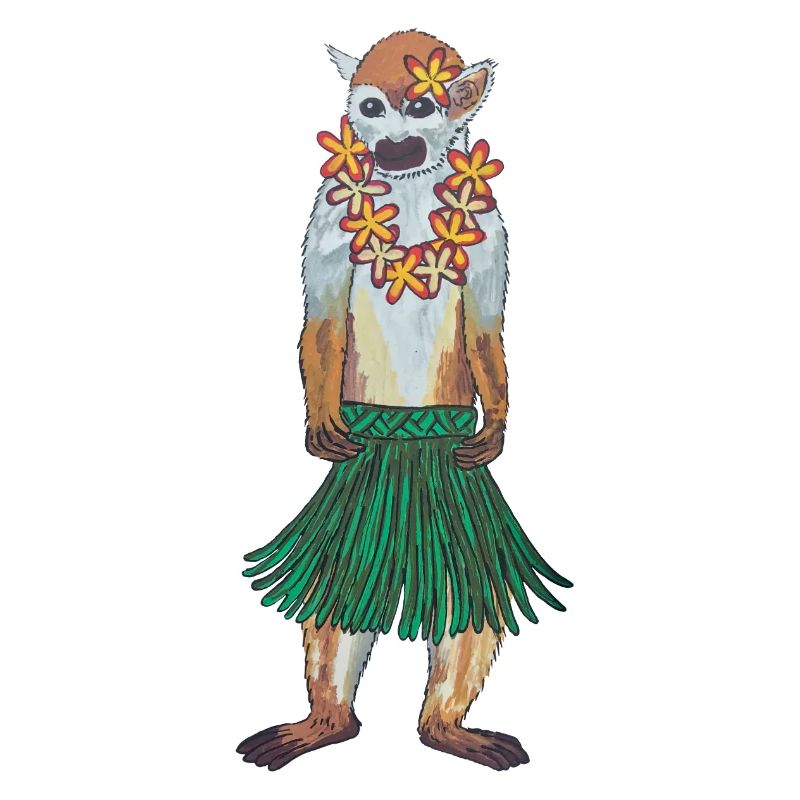 Écureuil Singe Singe Hawaii Hula Monkey Hula Hoola
