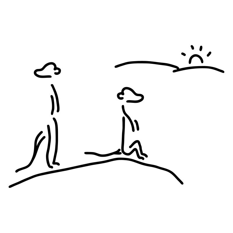 erdmännchen passen auf