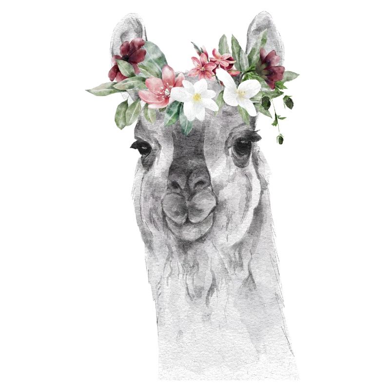 Lama