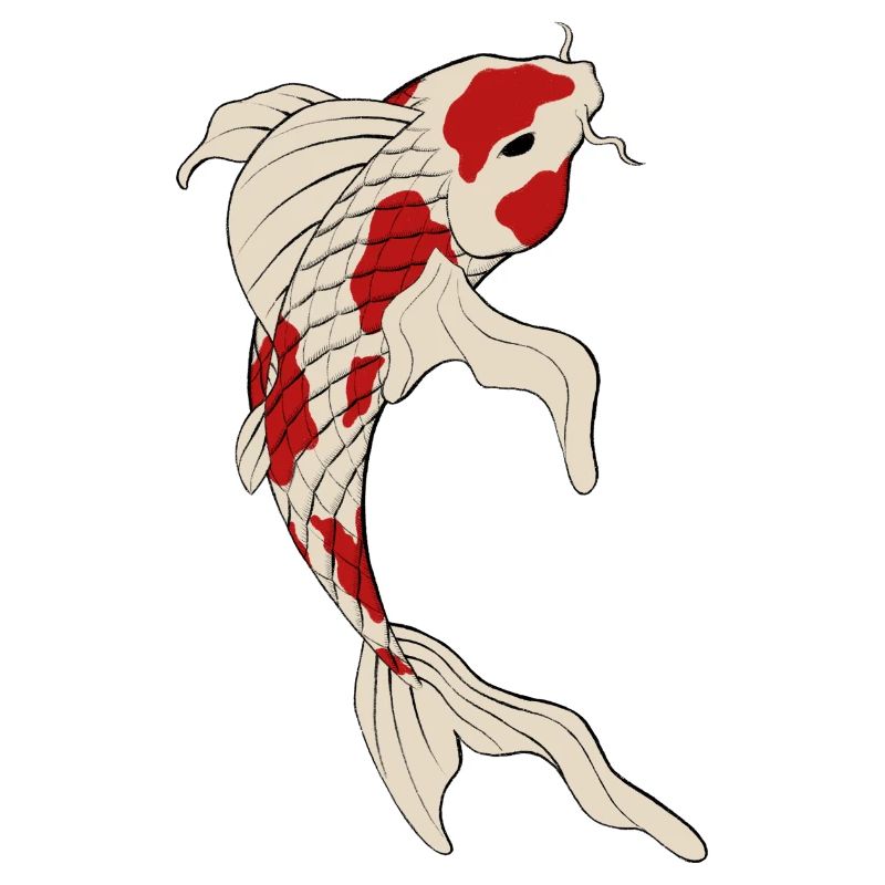 Koi fish