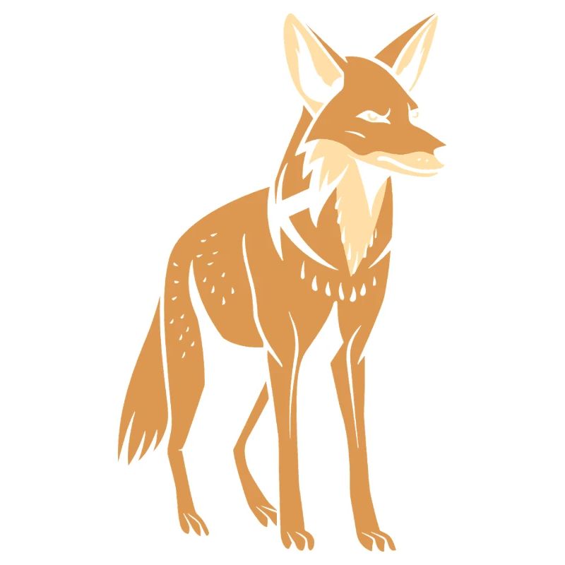 jackal