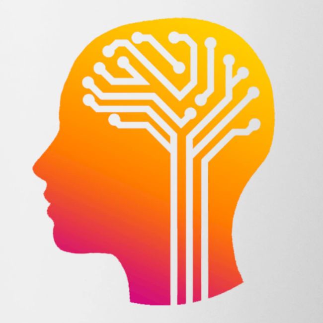 BrainFlow Logo