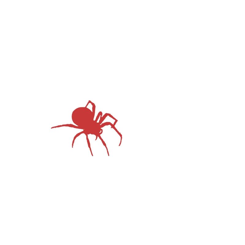 Spinne