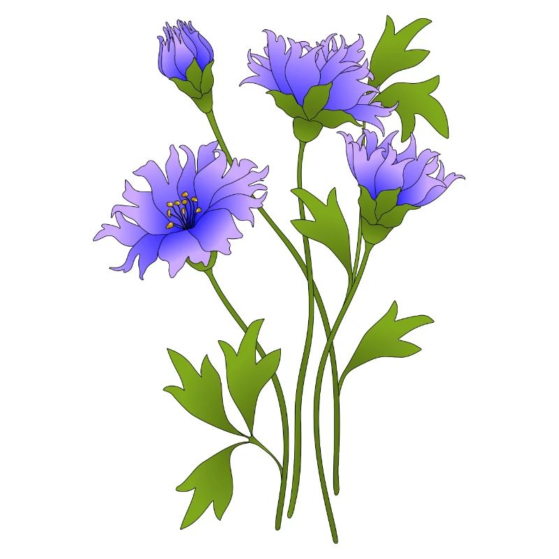 Blue flowers
