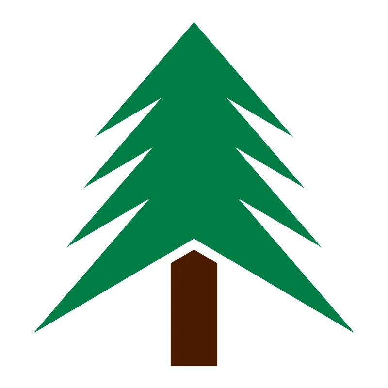 baum_2c