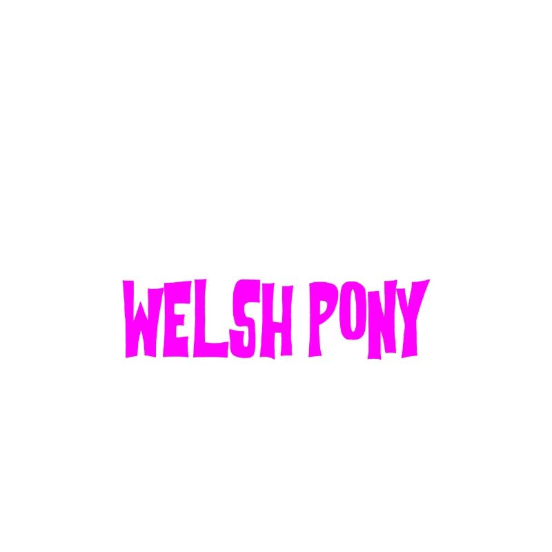 WELSH PONY - Glitzer