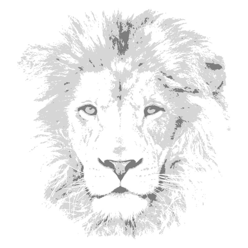LÖWE HEAD