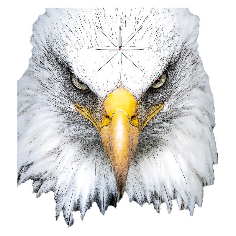 Tête d’aigle