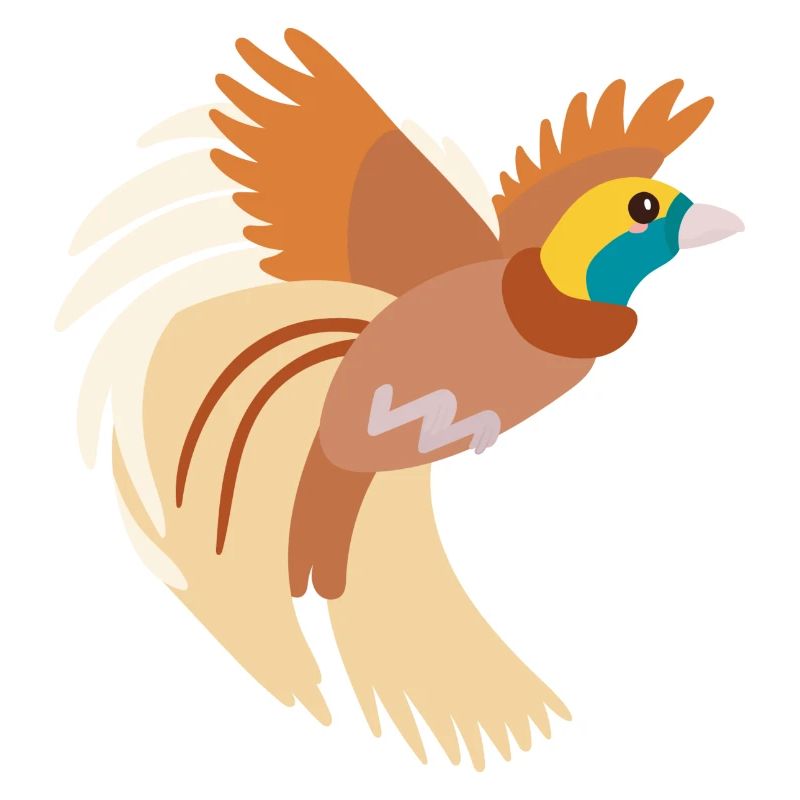 Oiseau de paradis