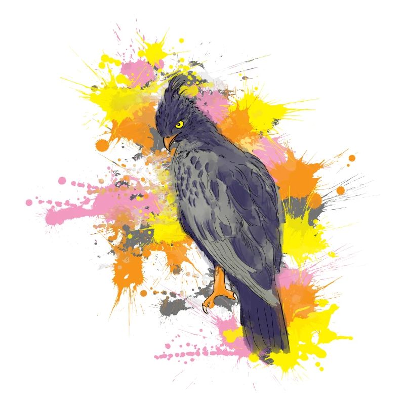 Crested eagle