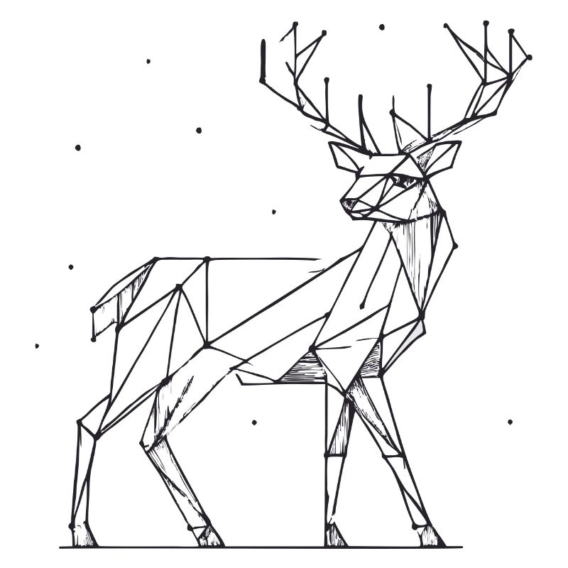 Hirsch 2D Linien