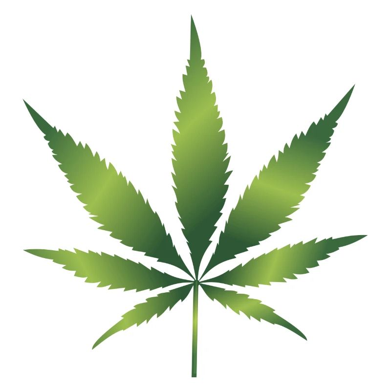 cannabis