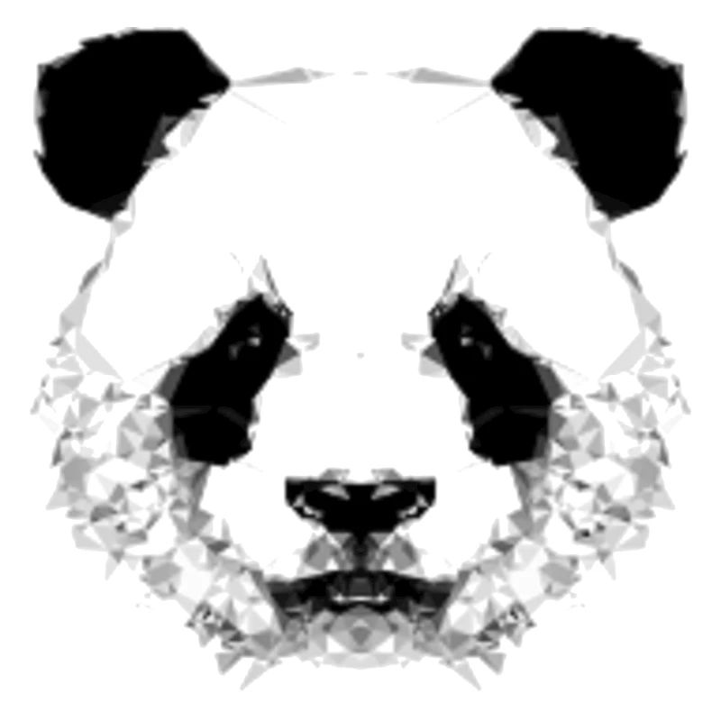 Panda Kopf