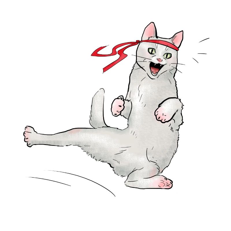 Chat au karaté