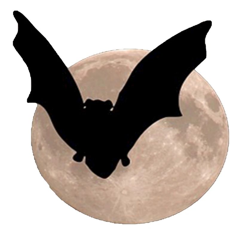 Souris des champs devant la lune