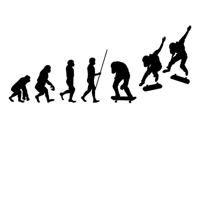 Evolution du skateur