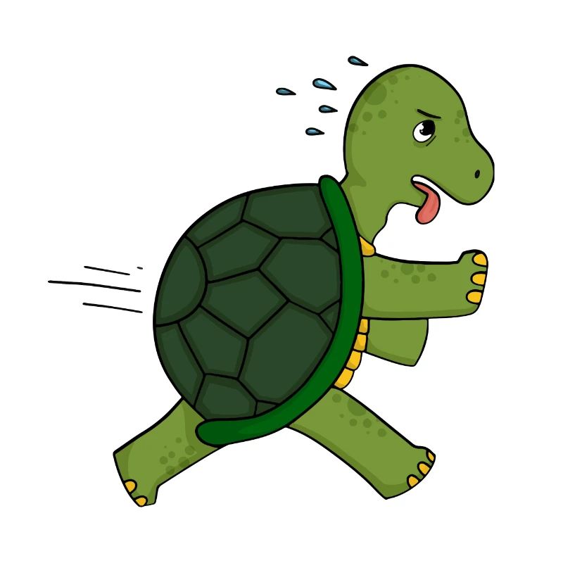 turtle
