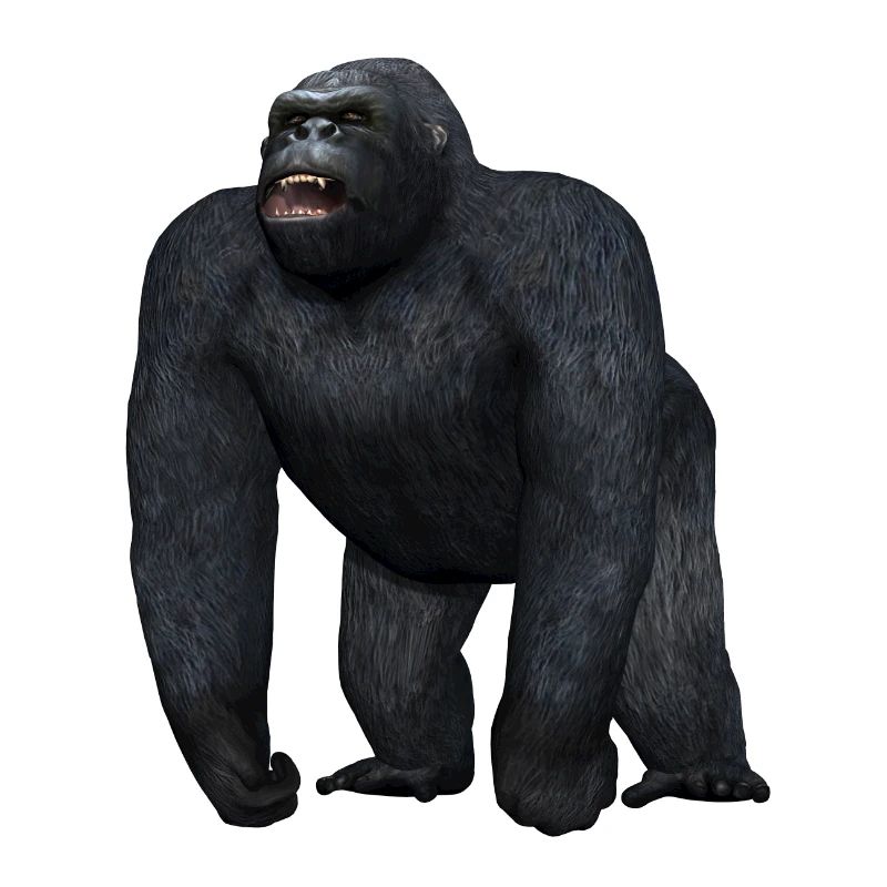 Gorilla in threatening pose