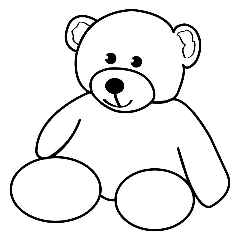 teddy