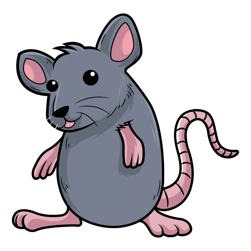 mouse