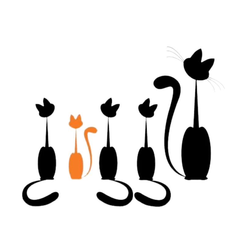 Conception de chats