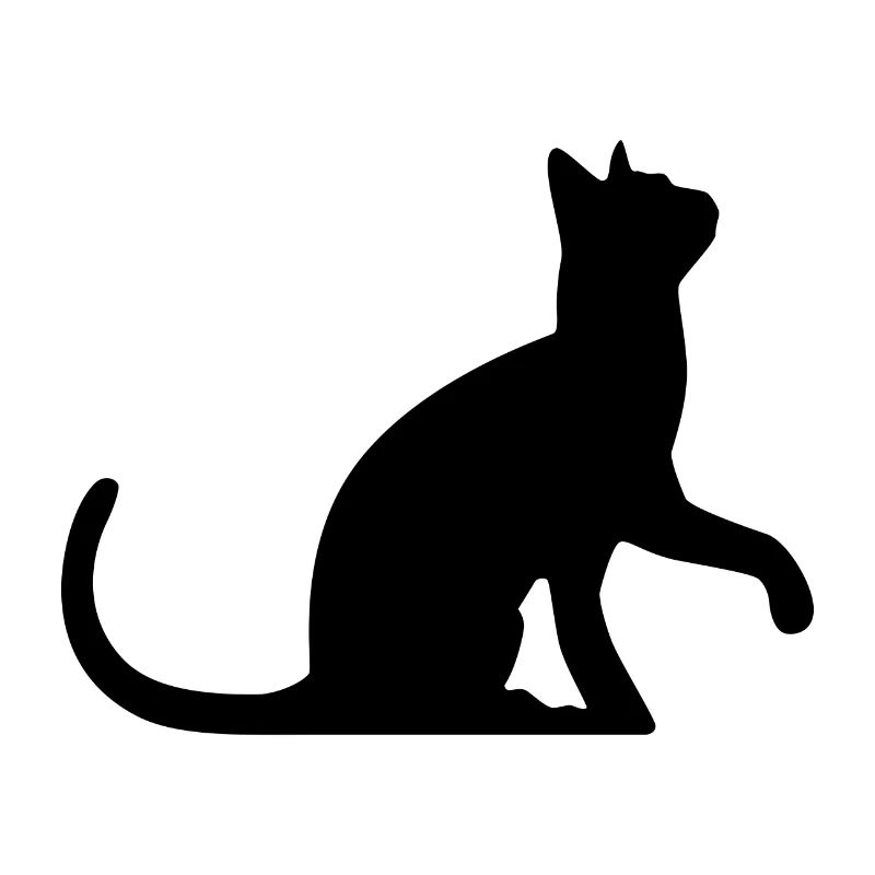 Chat noir