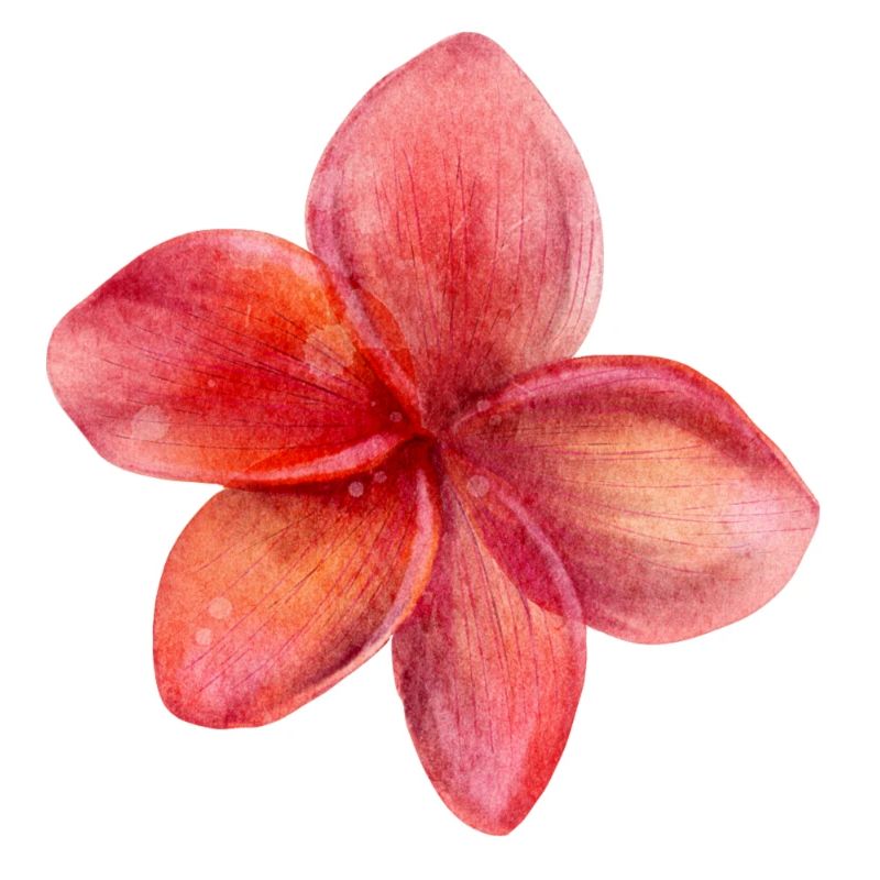 Fleur rouge