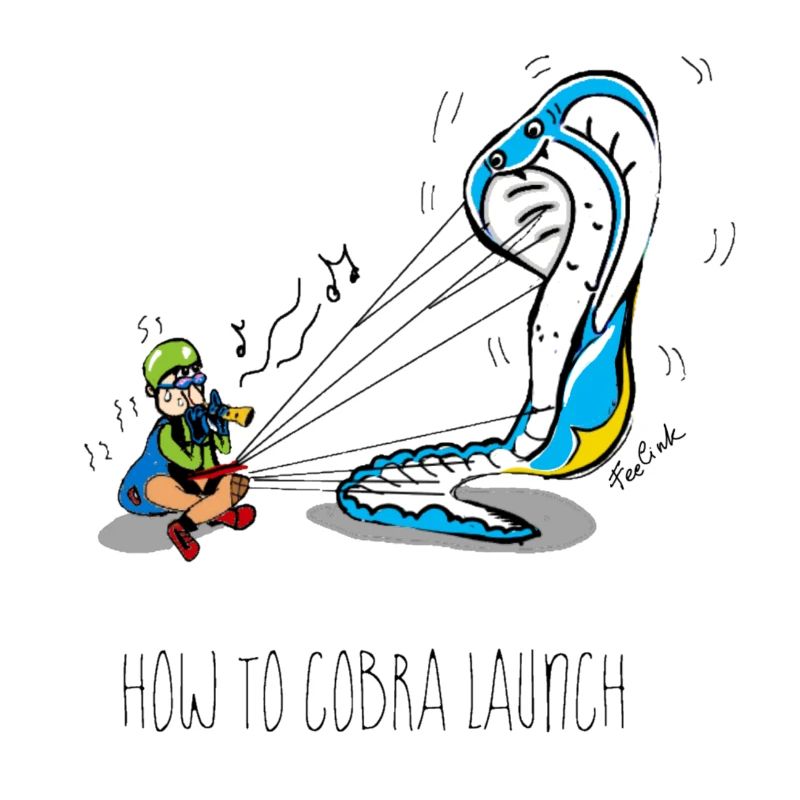 Gleitschirm paragliding Cobra