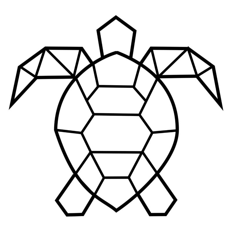 Turtle geometric