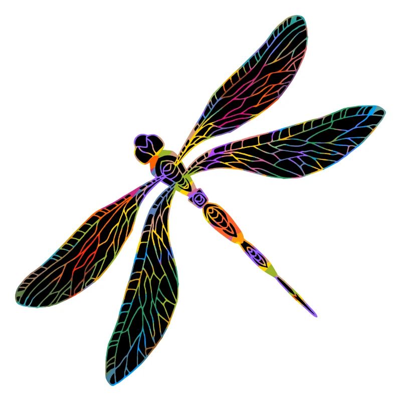 dragonfly