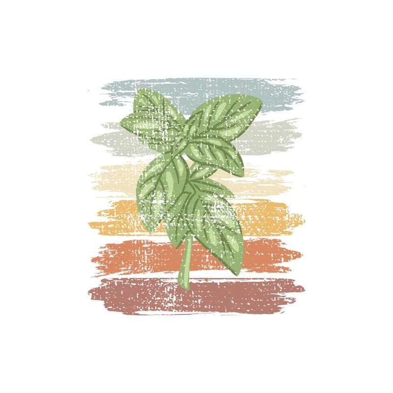 Conception rétro basilic à base de plantes